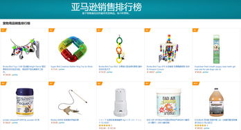 英語西班牙語外包客服助力寵物產品跨境電商提升客戶滿意度，挺進美國市場